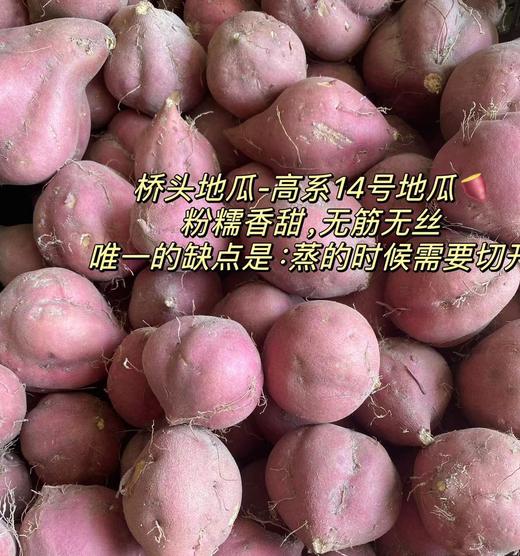 【中小果更容易蒸】圆滚滚桥头富硒地瓜  无筋无丝 粉糯香甜 虽然有点丑，但不耽误好吃！5斤装 商品图4