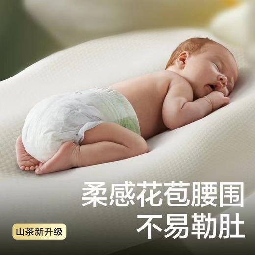 【两包一组】{实体店不发货}babycare 山茶花苞裤 纸尿裤 拉拉裤 商品图5