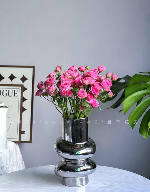 【AB级苏菲宝贝多头玫瑰.第二件减10元】5支/份.长约60-65cm 商品图8