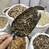 五气朝阳草 水杨梅 商品缩略图3