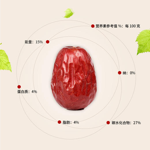 L燕联红枣508g 商品图3