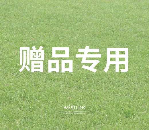 【赠品】--199元免单卡，仅限抽奖&抽免单使用，领取后截图至西遇搭配师angela领取免单卡 商品图0