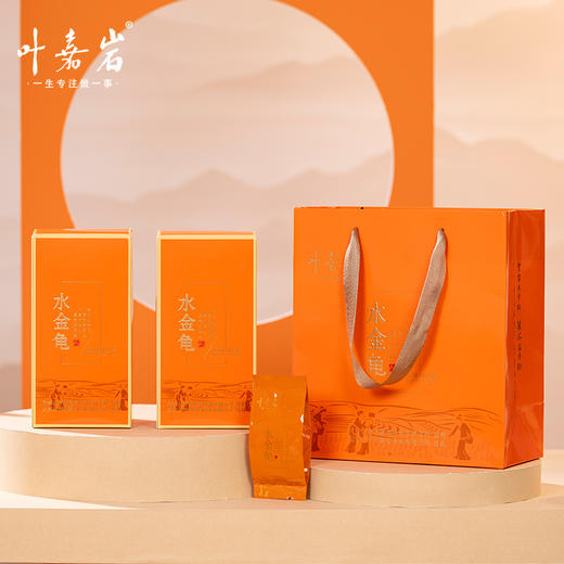 叶嘉岩·铁罐水金龟 商品图1