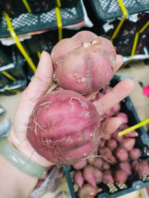 【桥头富硒地瓜｜粉糯香甜】爆款地瓜推荐 无筋无丝，粉，糯，香，甜，硒元素含量高 硒元素含量高 营养价值高 商品图6