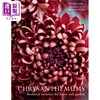 预售 【中商原版】菊花 家园之美 Chrysanthemums Beautiful Varieties for Home and Garden 英文原版 Naomi Slade 园艺百科 商品缩略图0