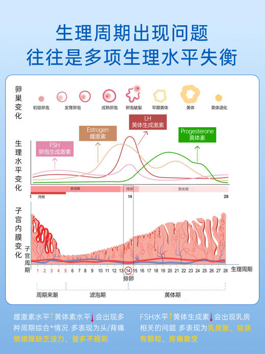 Stada德国圣洁莓卵巢保养天然黄体酮调节生理大豆异黄酮经期规律 商品图2