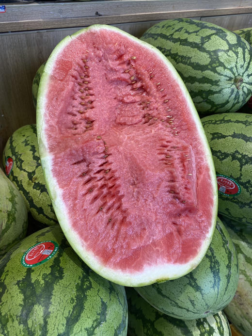 宏丰精选   石缝瓜新鲜到货口感很好，很脆，活动价1.98元一斤 商品图3