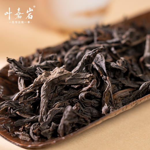 叶嘉岩·铁罐水金龟 商品图8