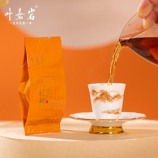 叶嘉岩·铁罐大红袍 商品图9