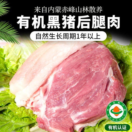 【厂商直发】内蒙古散养有机黑猪肉多部位可选无激素抗生素生长周期1年以上 商品图9