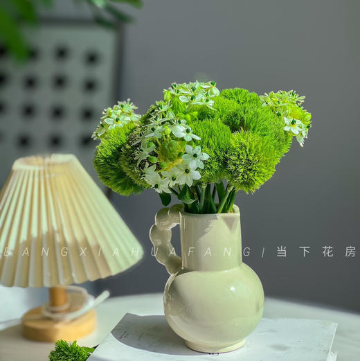 【若月亮没来】AB级绿毛球5支+AB级天鹅绒5支/份（静静设计） 商品图0