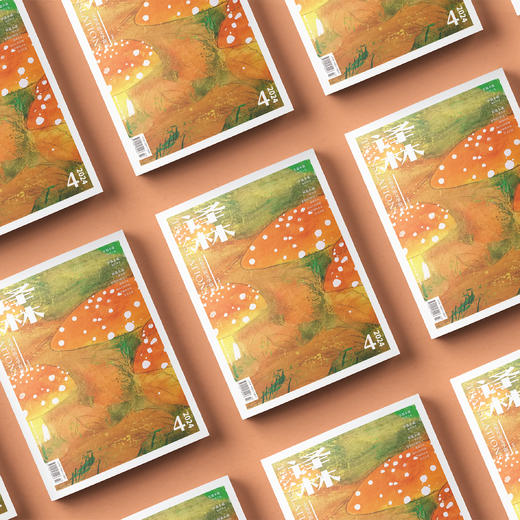 2024年《译林》杂志 第4期 商品图7