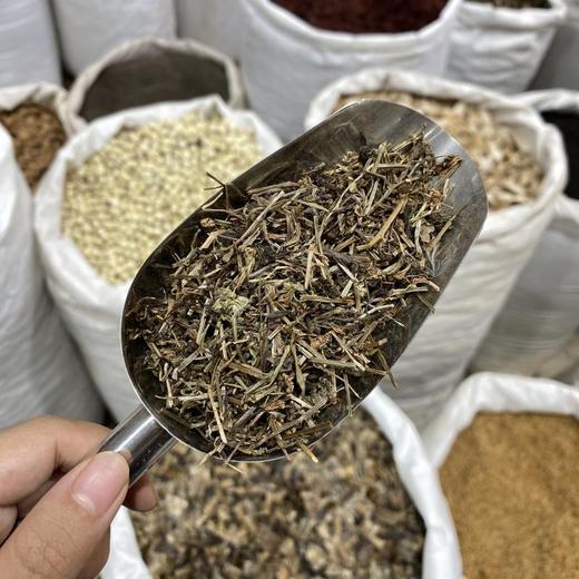 金钟茵陈 商品图4