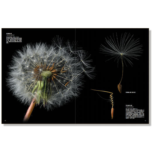 《世界上不可思议的果实种子图鉴 》荣获2023年首都科普好书-分销 商品图6