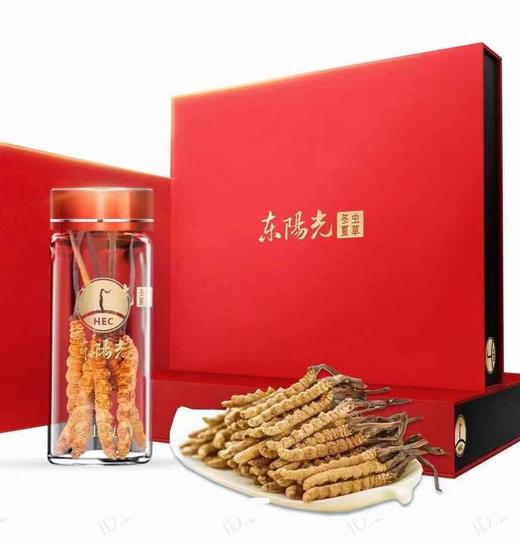 B1F 东阳光冻干冬虫夏草（国民）礼盒       规格：10克 商品图0