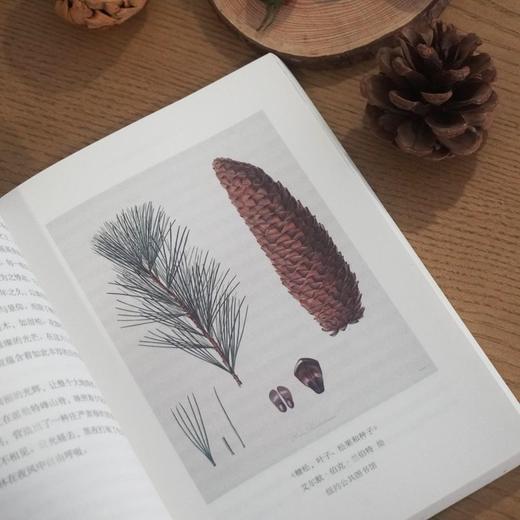 中信出版 | 夏日走过山间（插图典藏版） 商品图2