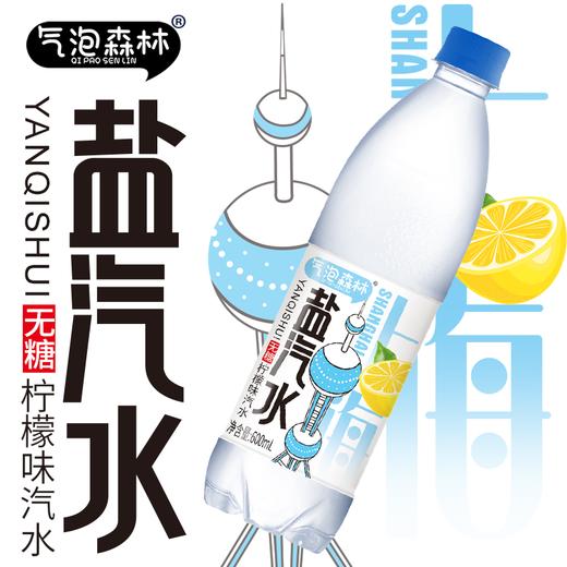 气泡森林盐汽水600ml.(6974433761002) 商品图0