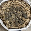 玛卡 玛咖个头干果 玛卡片 泡酒药材 云南丽江黑马卡 商品缩略图2