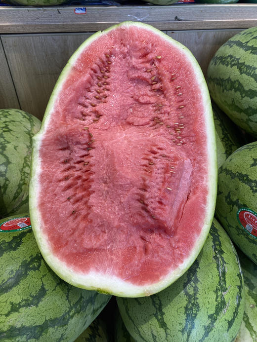 宏丰精选   石缝瓜新鲜到货口感很好，很脆，活动价1.98元一斤 商品图4