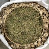 翠云草 商品缩略图2