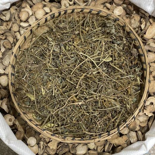 响铃草 商品图2