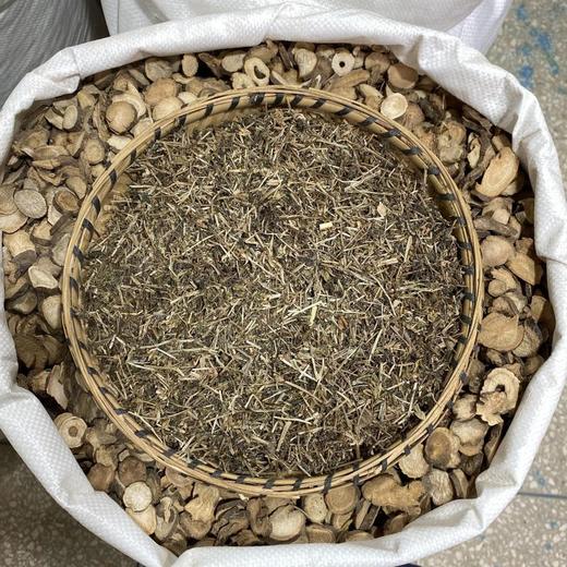 金钟茵陈 商品图2