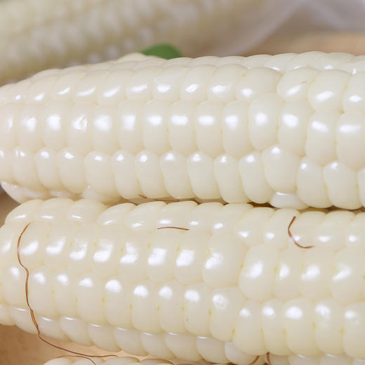 微玉拇指玉米 商品图3