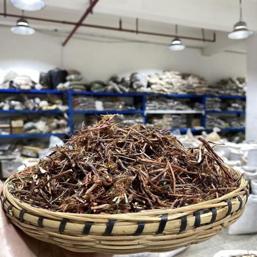 舒筋草 商品图1