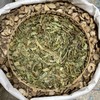 凤尾草 商品缩略图2
