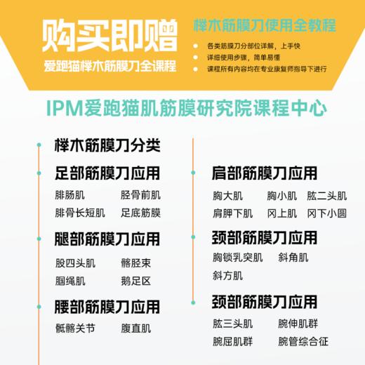 iPerMove爱跑猫木质榉木筋膜刀运动后放松肌肉按摩工具 商品图3