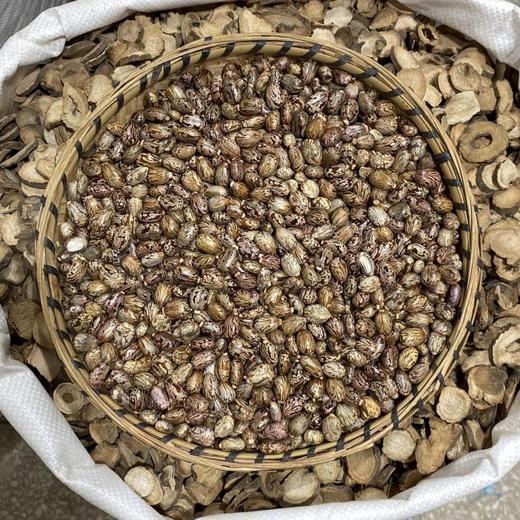 蓖麻子 商品图2