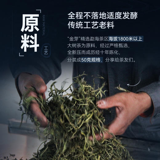 陈升号 金芽罐装50g（熟茶） 商品图4