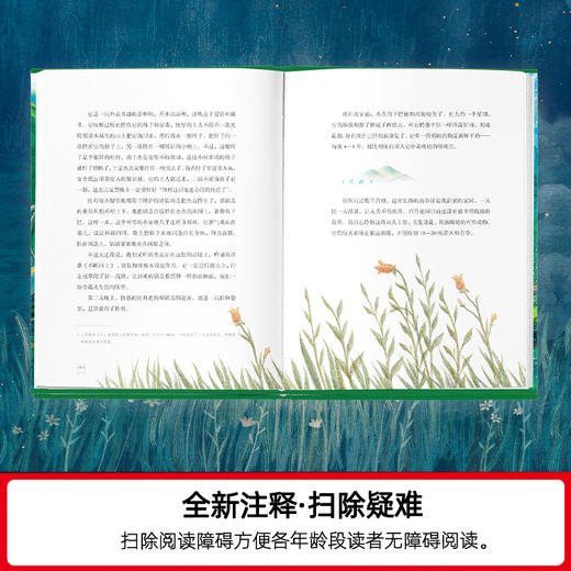 夏日走过山间 商品图6