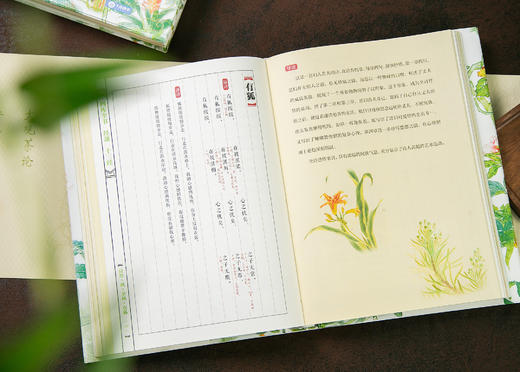 《《诗经》全注全译全本彩图：典藏版》(全2册) 商品图6