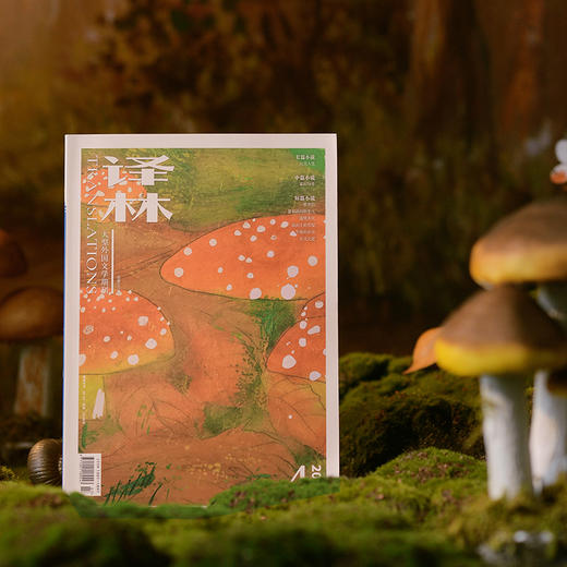 2024年《译林》杂志 第4期 商品图5
