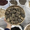 玛卡 玛咖个头干果 玛卡片 泡酒药材 云南丽江黑马卡 商品缩略图0