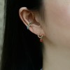 SpoiledBrat Jewelry新年礼物 幸运马蹄 彩色宝石小耳钉 商品缩略图8