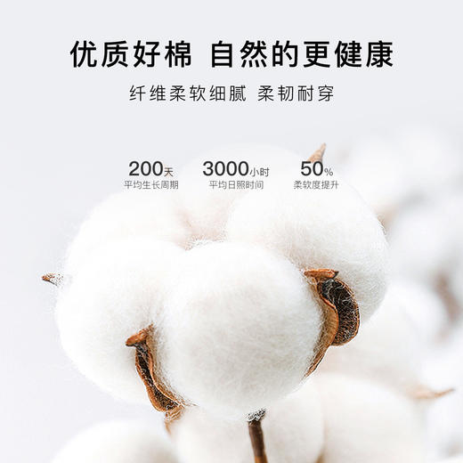 波浪提花内裤女100%纯棉裆中腰大码全包臀不夹裆波浪提花内裤5条装 商品图3