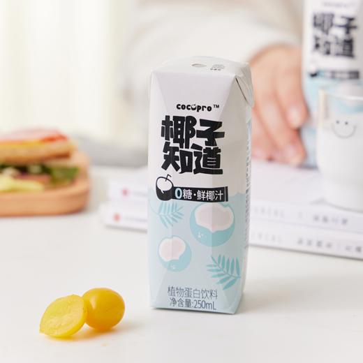 椰子知道 0糖鲜椰汁礼盒 250ml*10 商品图3