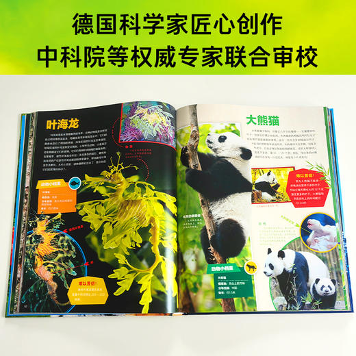 【连叔好货】德国少年儿童动物/植物大百科精装什么是什么系列2024年重磅上新7-14岁小学生儿童科普单本精装大百科 商品图4