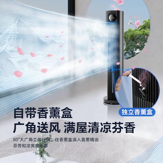 格力（GREE）空调扇家用客厅卧室冷风扇遥控制冷小空调扇办公移动电扇节能省电加湿负离子单冷风扇水冷风机 KS-06S70Dg（24年升级等离子除菌香薰） 商品图6