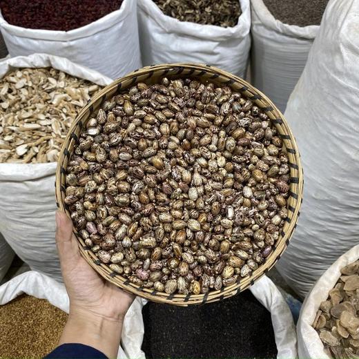 蓖麻子 商品图0