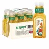 农夫东方树叶乌龙335ml*6瓶(6921168595549) 商品缩略图0