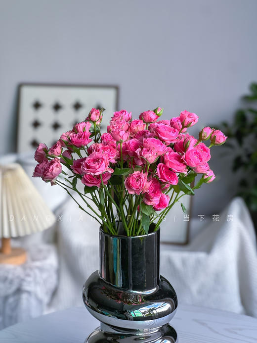 【AB级苏菲宝贝多头玫瑰.第二件减10元】5支/份.长约60-65cm 商品图7