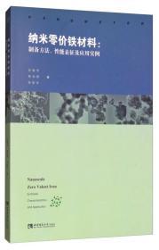 纳米零价铁材料制备方法性能表征及应用实例 吕晓书 西南师范大学出版社 9787562188759 商品图0