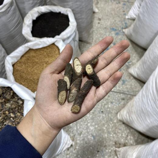 黑骨藤  黑骨头 商品图4