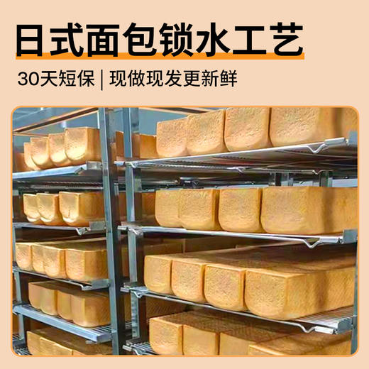 【乐刻甄选】轻食兽全麦面包吐司1kg共40片 商品图1