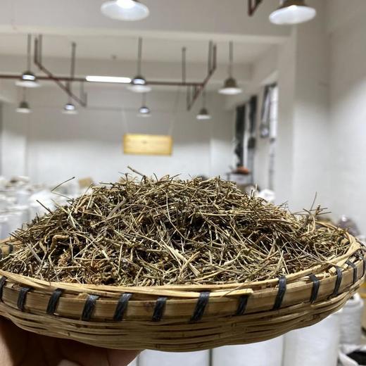 兰花参 商品图1