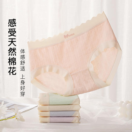 波浪提花内裤女100%纯棉裆中腰大码全包臀不夹裆波浪提花内裤5条装 商品图1