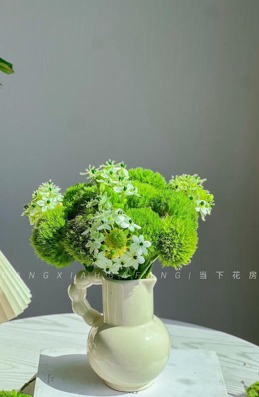 【若月亮没来】AB级绿毛球5支+AB级天鹅绒5支/份（静静设计） 商品图3